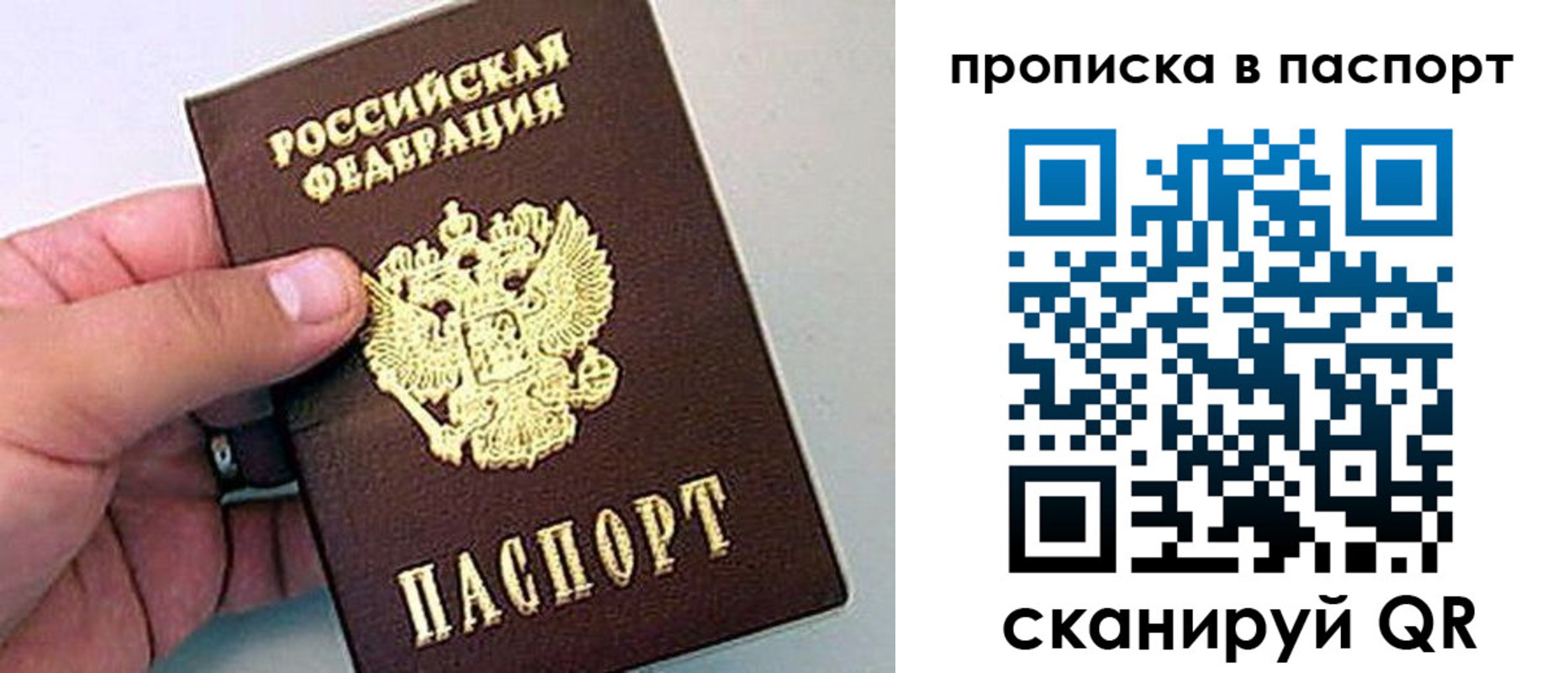 прописка законно в Североморске